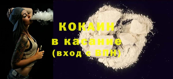 шишки Заволжье