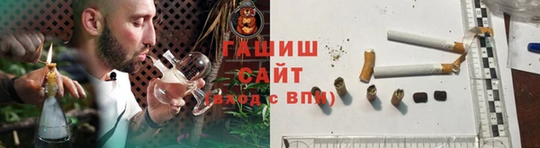 шишки Заволжье