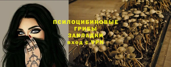 мет Ельня