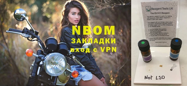 шишки Заволжье