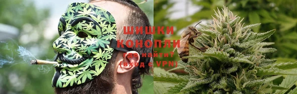 шишки Заволжье