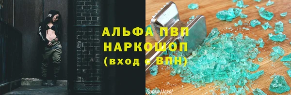 шишки Заволжье
