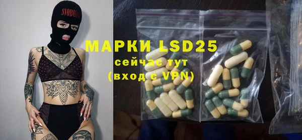 шишки Заволжье