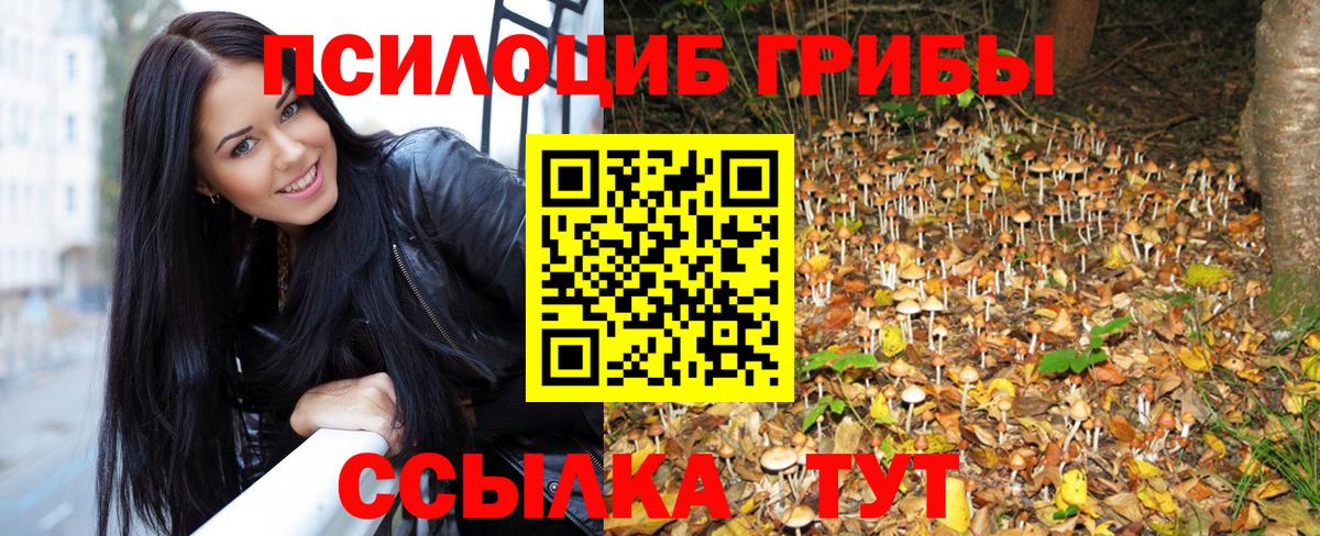 Псилоцибиновые грибы мицелий Свободный