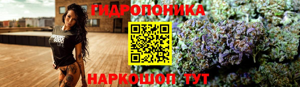 Бошки Шишки Amnesia  Вход с VPN  Свободный  Канабис планчик  Марихуана Amnesia 